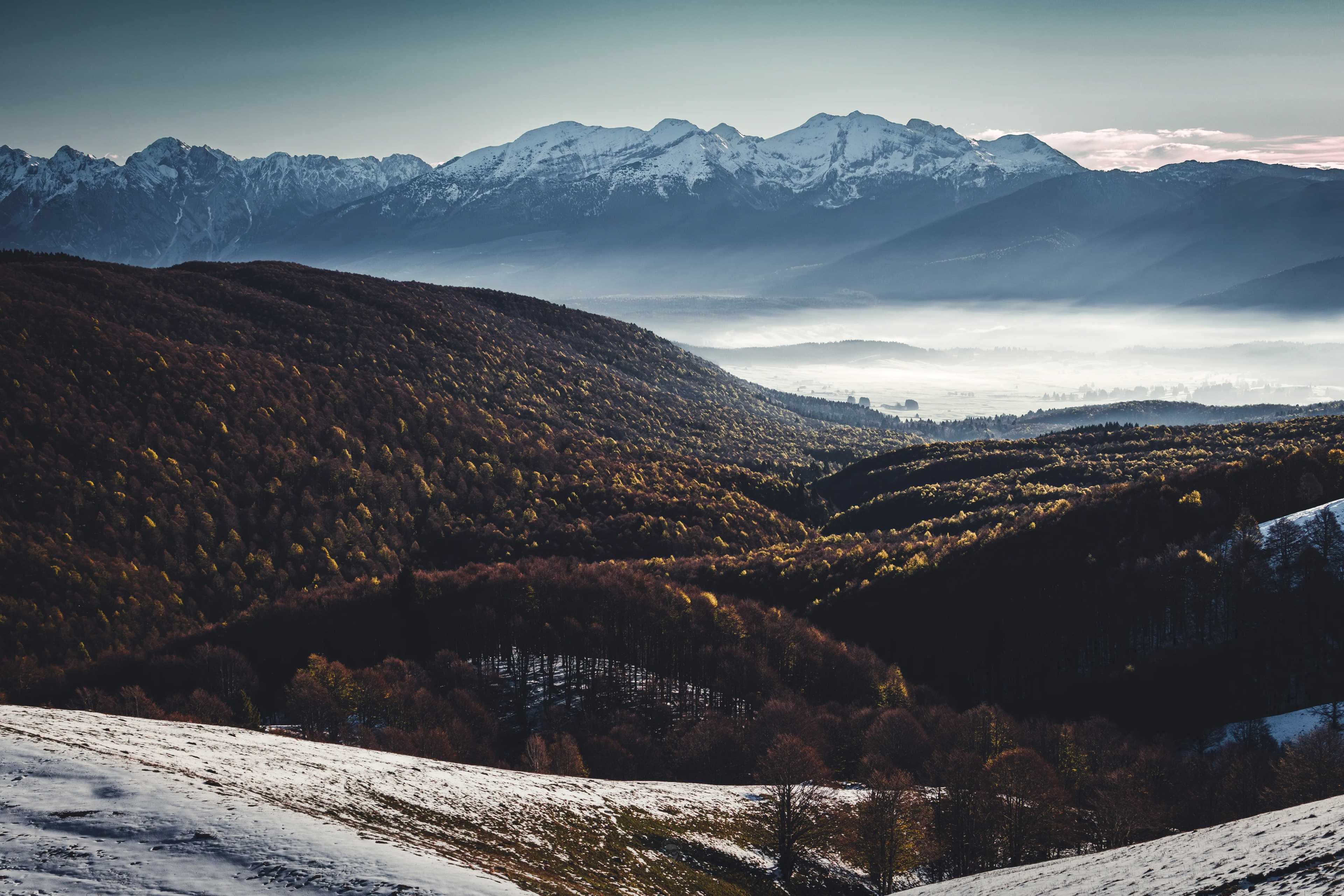 Curved Valley Mist