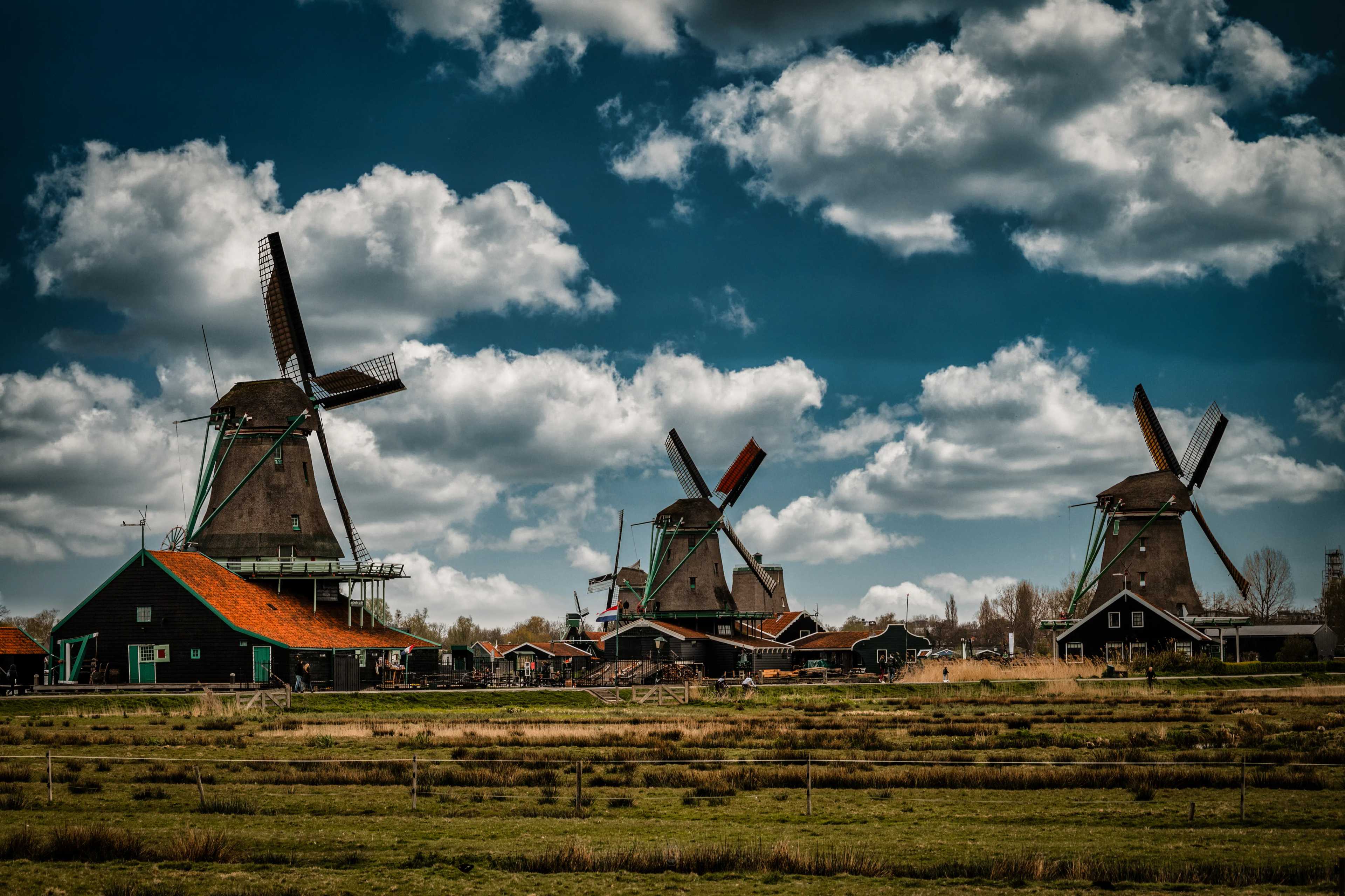 Summer Windmills Spinning