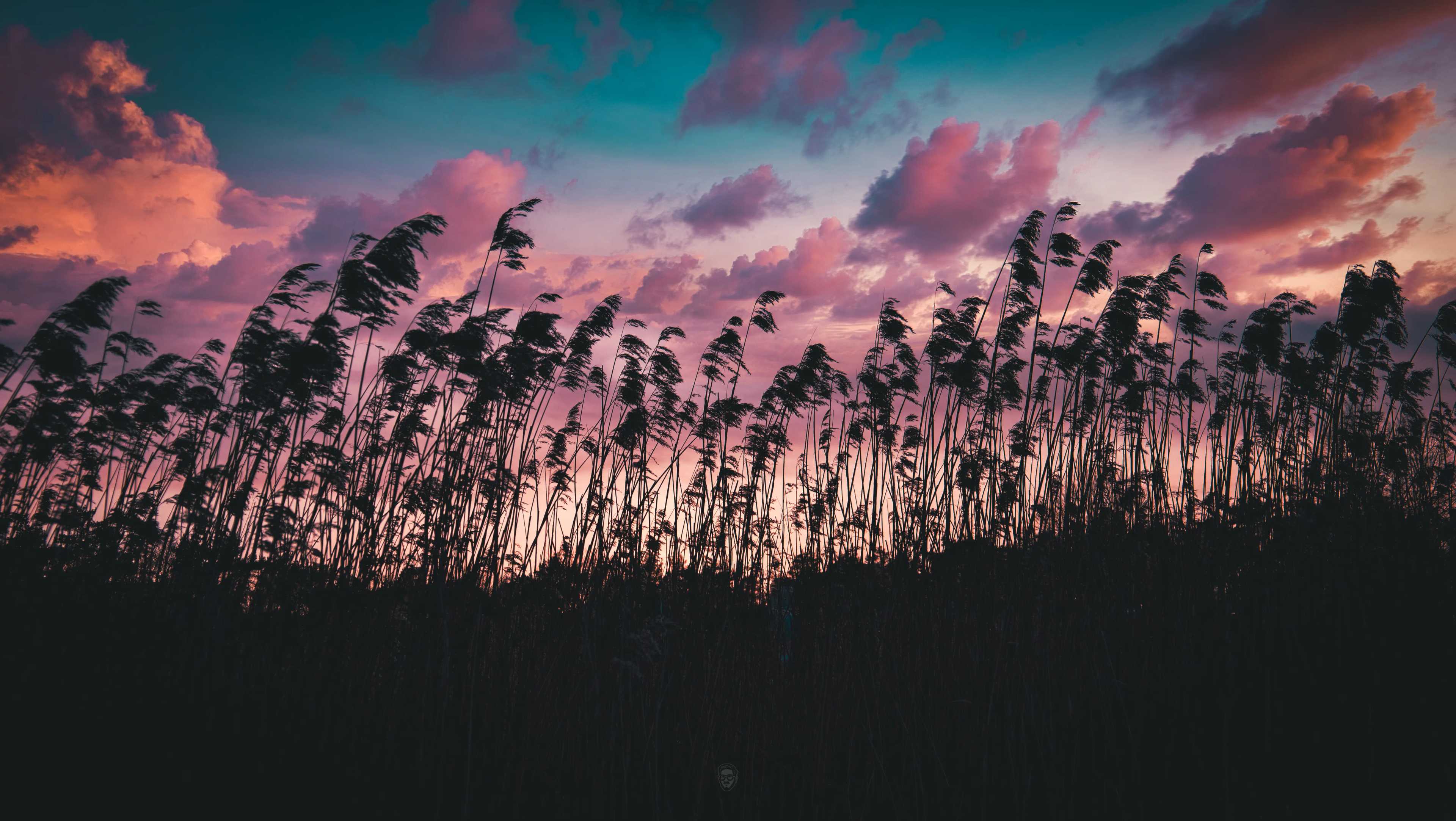 Sunset Clouds Reeling