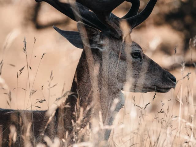 Containers Are Not a Security Boundary